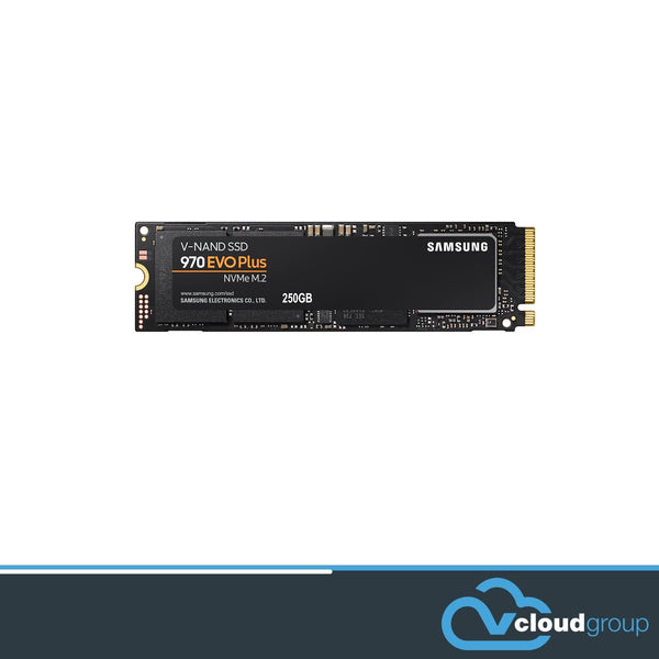 Samsung SSD 970 EVO Plus (2280)-250GB M.2