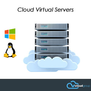 vCloud Virtual Cloud Servers - Dedicated Virtual Server